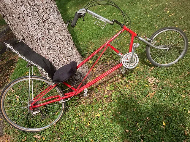 Easy Racers Tour Easy recumbent bike SMALL Glenview IL pick-up COMFY FAST small!