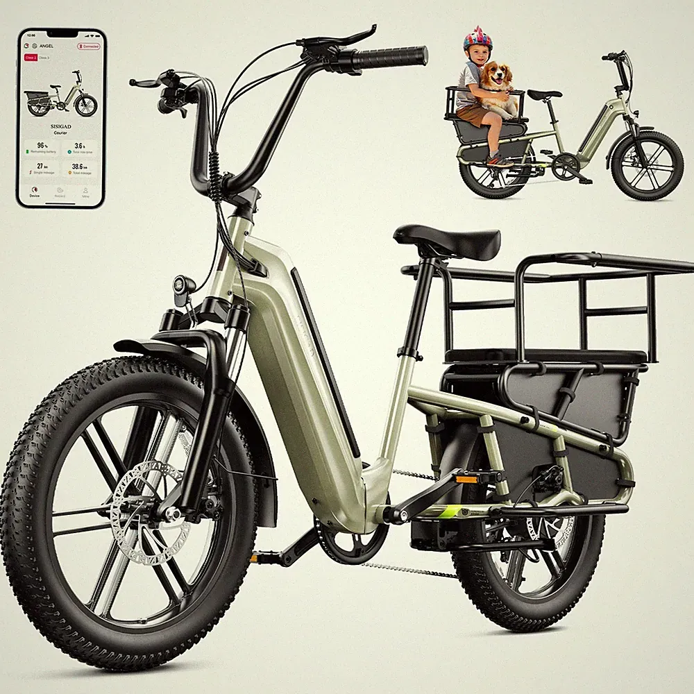 Electric Bike for Adults 1500W Peak 80Miles Ebike Electric Cargo Bicycle UL2849
